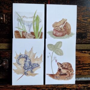 Nature Postcards set of Four